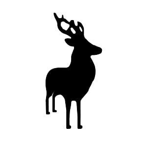 Profile picture for Jagt