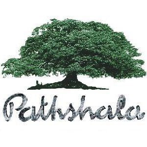 Profile picture for Pathshala South Asian Media Ins.