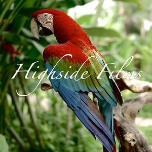 Profile picture for Highside Films