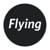Flying