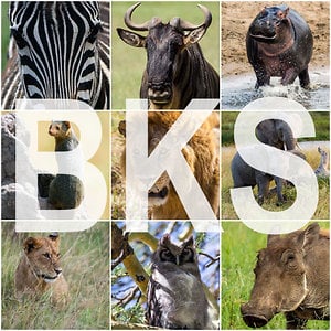 Profile picture for Beekeeperstories