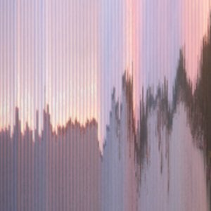 Profile picture for miska knapek