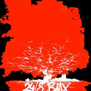 Profile picture for 24/8 Bmx