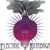 Electric Rutabaga