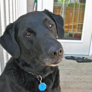 Profile picture for Richard McCormack
