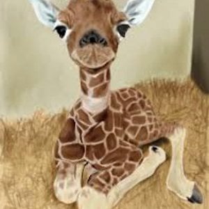 Profile picture for Alexa Escobar