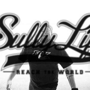 Profile picture for David Sullivan
