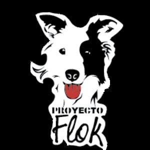Profile picture for Proyecto Flok