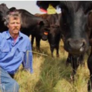 Profile picture for Sweet Grass Farms