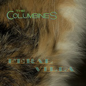 Profile picture for The Columbines