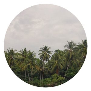 Profile picture for Anna Pla-Narbona