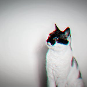 Profile picture for Bálint Horváth