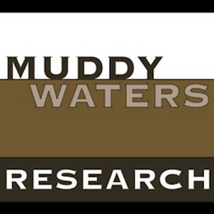 Profile picture for Muddy Waters