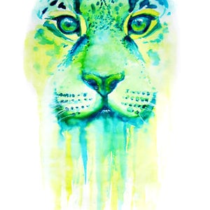 Profile picture for Leighann Baxa