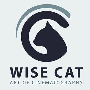 Profile picture for Wise Cat Studios * Bora Yenal