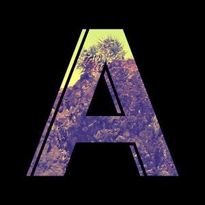 Profile picture for Markus Olson