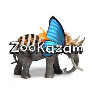 Profile picture for ZooKazam