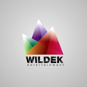 Profile picture for Wildek Entertainment