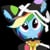 dashie