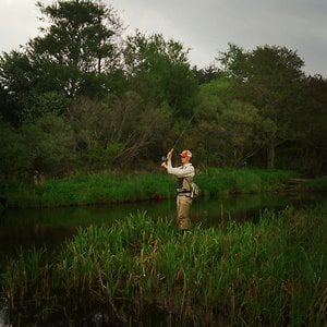 Profile picture for Kasper Nielsen