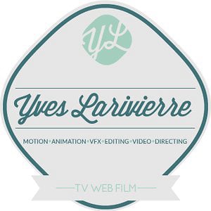 Profile picture for Yves Larivierre