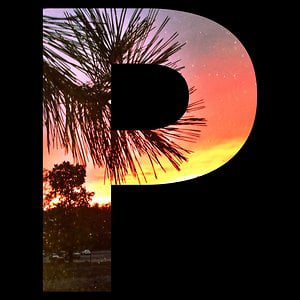 Profile picture for Paradise Factory