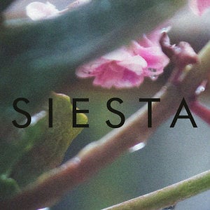 Profile picture for Siesta