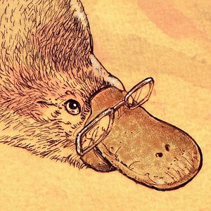 Profile picture for Thiornitho