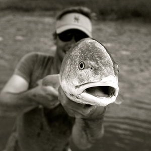 Profile picture for LC Journal - Doug Roland