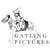 Gatling Pictures