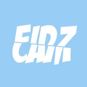 Profile picture for Fidzcam