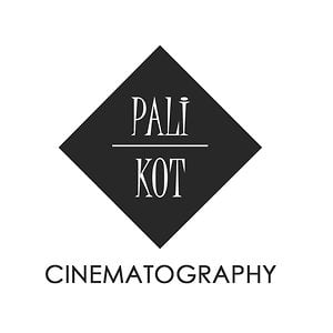 Profile picture for Michał Palikot Cinematography