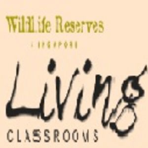 Profile picture for wrs_education