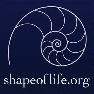 Profile picture for Shape of Life