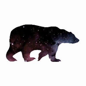 Profile picture for Kevin Weir