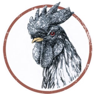 Profile picture for RedEyedRooster