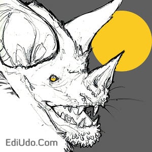 Profile picture for Edi Udo - Illustration & Design