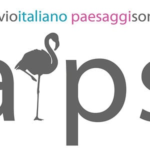 Profile picture for aips