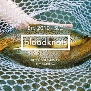 Profile picture for BLOODKNOTS