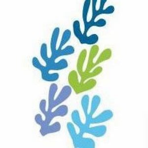 Profile picture for Amici Fond. Hospice Seràgnoli