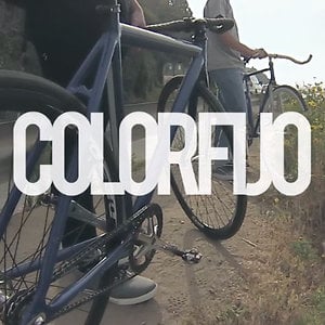 Profile picture for COLORFIJO