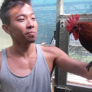 Profile picture for Cedric Kai Wei Tan