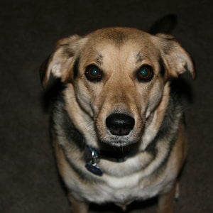 Profile picture for Alex Davenport