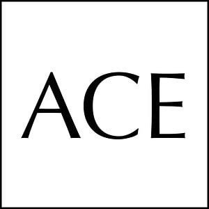 Profile picture for ACE GALLERY