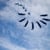 Une Mouette Production