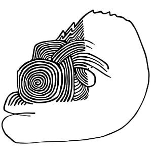Profile picture for René Krabiell