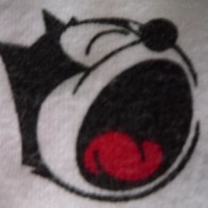 Profile picture for Isabel Almeida