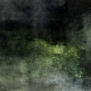 Profile picture for Tim Skinner