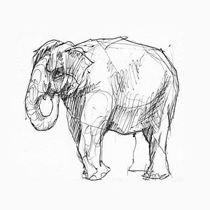 Profile picture for Leo Ermel