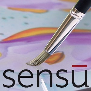 Profile picture for Sensu Inc.